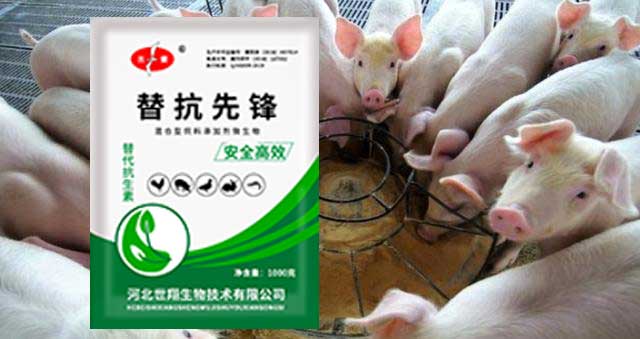 生物飼料在養殖生產中的應用