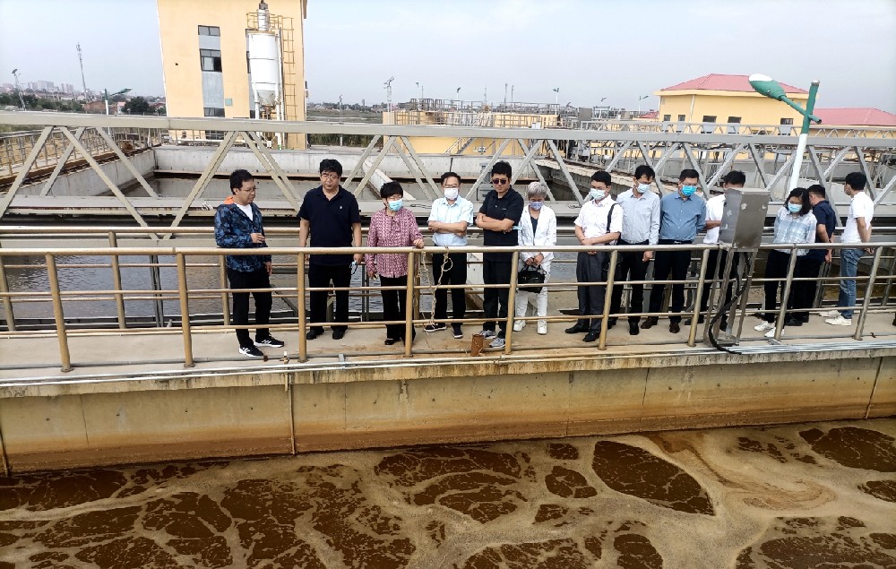 我公司董事長劉榮軍先生參加市政協城鎮污水專項視察工作