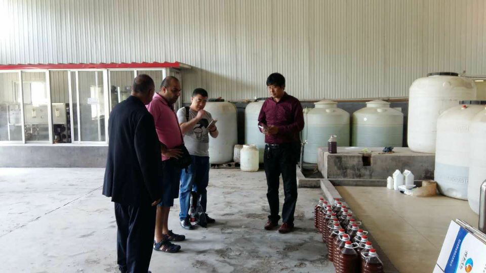 外貿(mào)公司攜外商到我公司參觀洽談業(yè)務