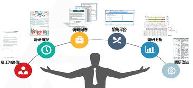 中智管理咨詢 以市場調查服務驅動商業(yè)決策與創(chuàng)新