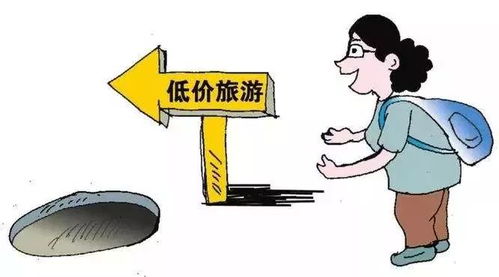 旅游市場暗涌 一日游強制消費問題仍存，北京消協發(fā)布監(jiān)測報告